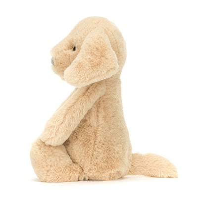 Bashful Puppy Orlando Reg