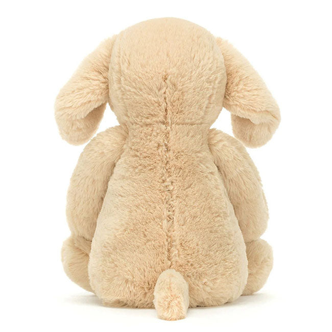 Bashful Puppy Orlando Reg