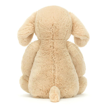 Bashful Puppy Orlando Reg