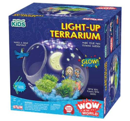 Wow Light Up Terrarium