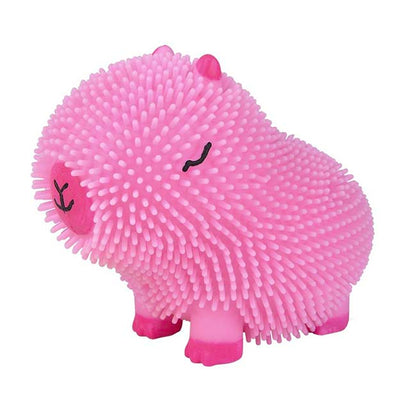 Capybara Colorful
