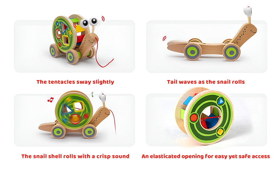 Walk-a-Long Snail